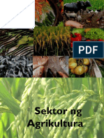 Vdocuments - MX - Sektor NG Agrikultura 5584aa34c7622