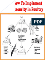 How To Implement Bio-Security in Poultry PDF