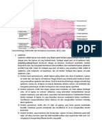 Histologi Vitiligo Dan Tinea Vesikolor