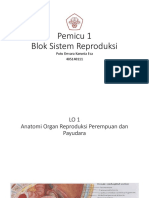 Pemicu 1 Devara Blok Sistem Reproduksi