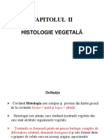 Tesuturi Vegetale-Cap II