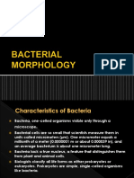 BACTERIAL MORPHOLOGY in Microbiology