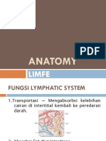 Anatomy of The Lymph System