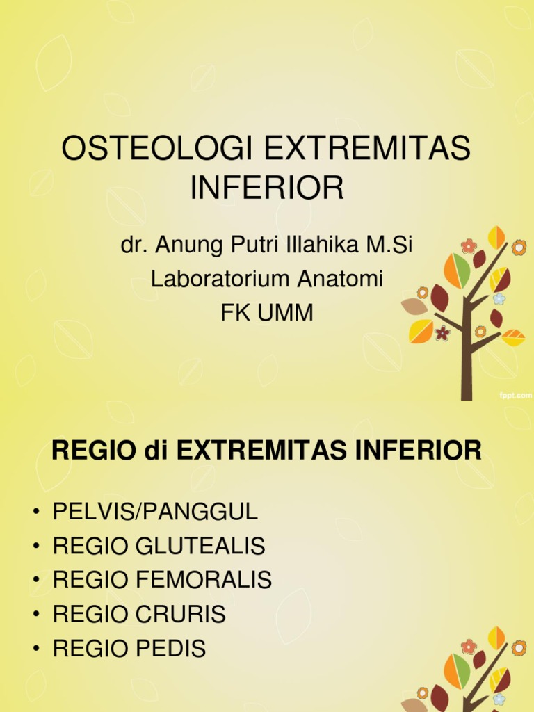 Ana 3 Osteologi Extremitas Inferior | PDF