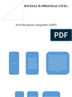 Actividad Práctica Integradora (API3) DERECHO PROCESAL II (PROCESAL CIVIL)