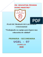 Plan de trabajo horas colegiadas I.E. Divino Maestro 2020