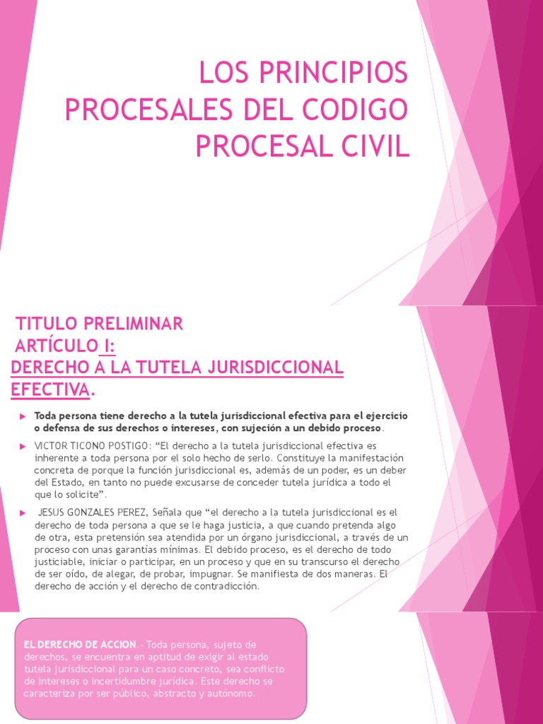 Los Principios Procesales Del Codigo Procesal Civil | PDF