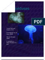 Les méduses2