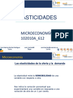 Elasticidad PDF