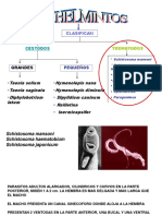 Trematodos Ucmc PDF