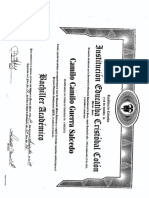 Documentos Camilo Guerra PDF