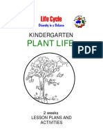 Parts of Big and Small Plant