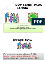 Lansia