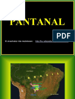 Pantanal.pdf