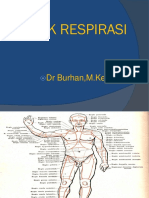 Respirologi - Anatomi Anatomi Pernapasan