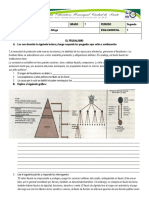 Evaluación Feudalismo Segundo Periodo