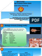 Artemia Paling Fix