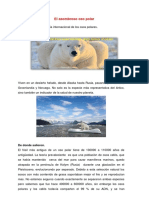 emiliano-oso-polar