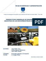 biocombustibles-liquidos-en-uruguay-perspectivas-generales-de-desarrollo.pdf