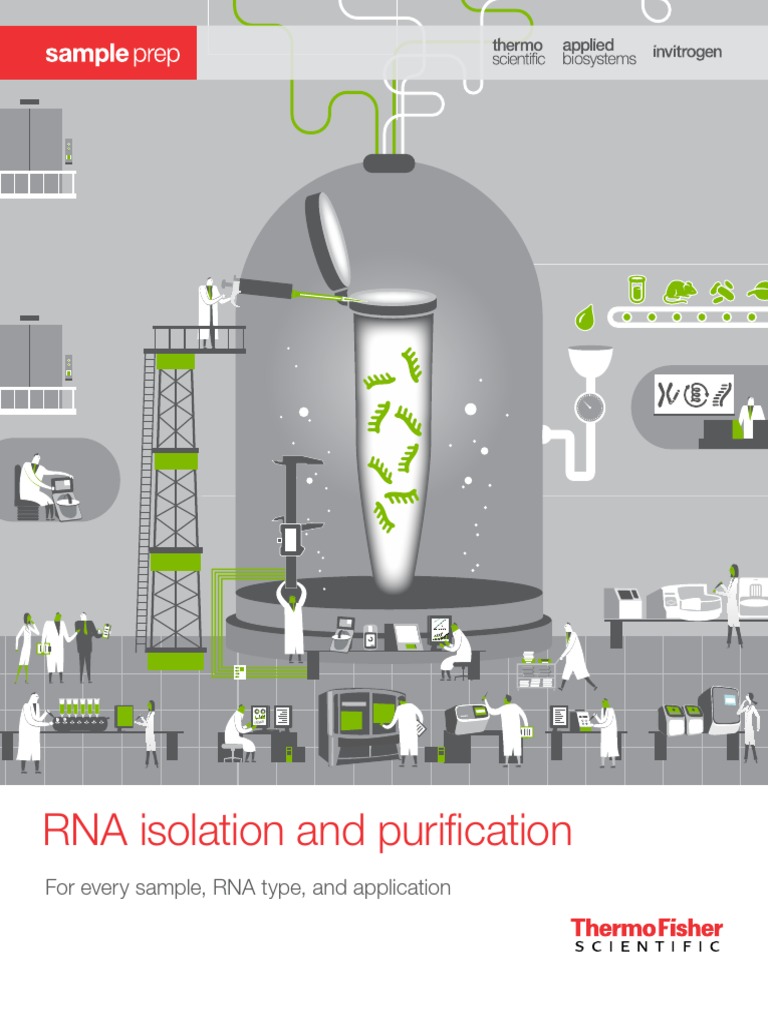 Rna Isolation Purification Brochure PDF | PDF | Real Time Polymerase ...