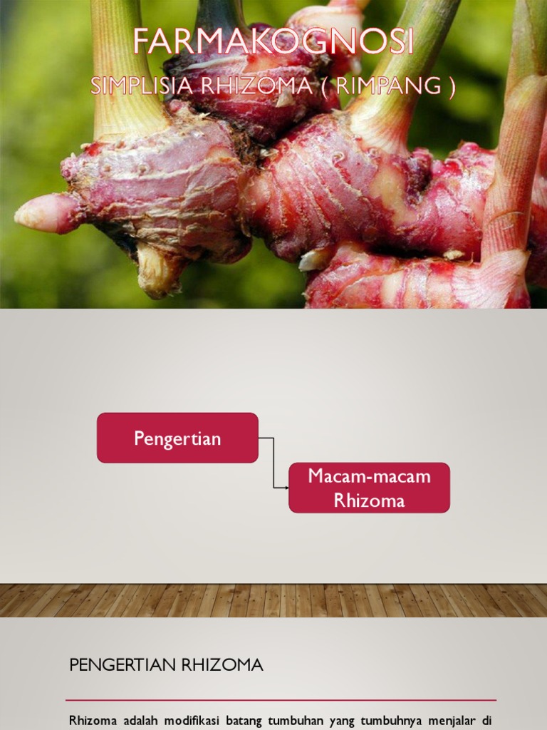Pengertian dan Contoh Rhizoma | PDF | Sains & Matematika