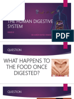 Thehumandigestivesystem 170306073820 PDF