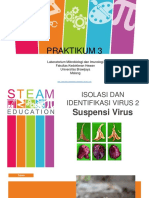 Isolasi Dan Identifikasi Virus 2 (Suspensi Organ)