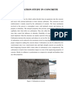 Assignment_Carbonation of Concrete (1).docx