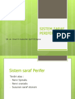 Sistem Saraf Perifer-1