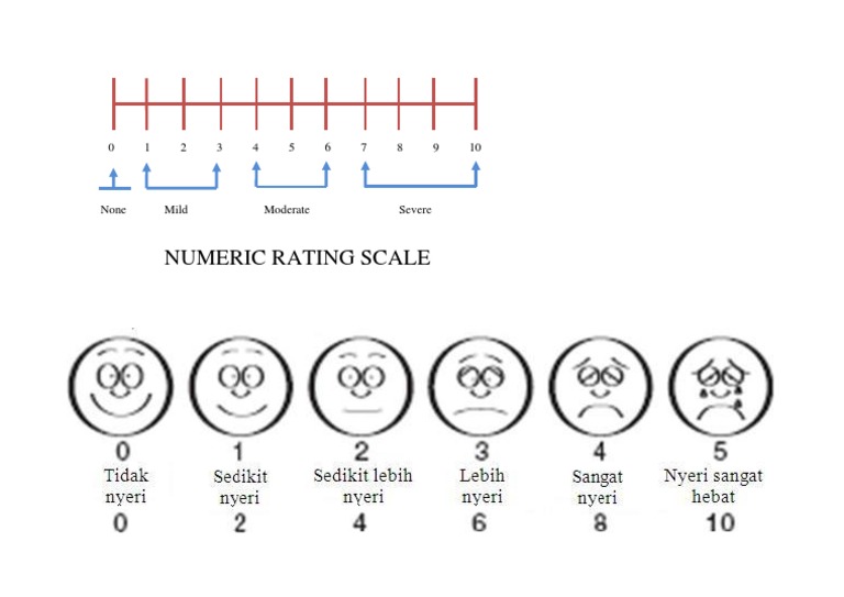 Numeric Rating Scale | PDF