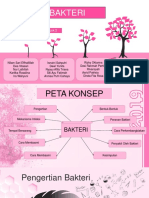 PPT Kelompok 2 Bakteri.pptx