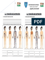 Ficha 4TO GRADO Funcion de Nutricion