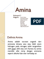 Kimia Organik 2 Amina