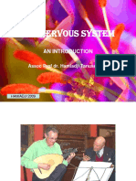 647introduction To The Nervous System A