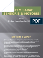 Sistem Saraf Sensoris & Motoris