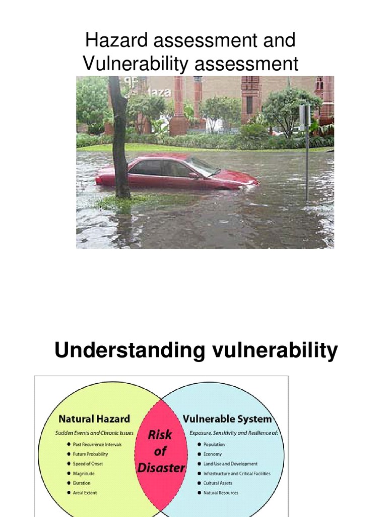 Vulnerability Assessment for Disaster Management | PDF | Natural ...