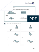 areas y perimetros.pdf