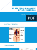 Pengkajian Dan Pemeriksaan Fisik Sistem Perkemihan