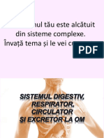 Sistemul Digestiv Circulator Respirator Si Excretor