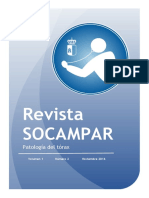 Revista SOCAMPAR VOL 1. Num. 2