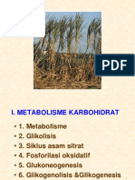 METABOLISME KARBOHIDRAT Revisi 2 - Dewi