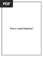 Capital Budgeting