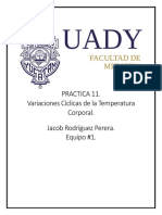 Variacion Temperatura PDF