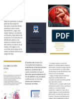 circulacion fetal