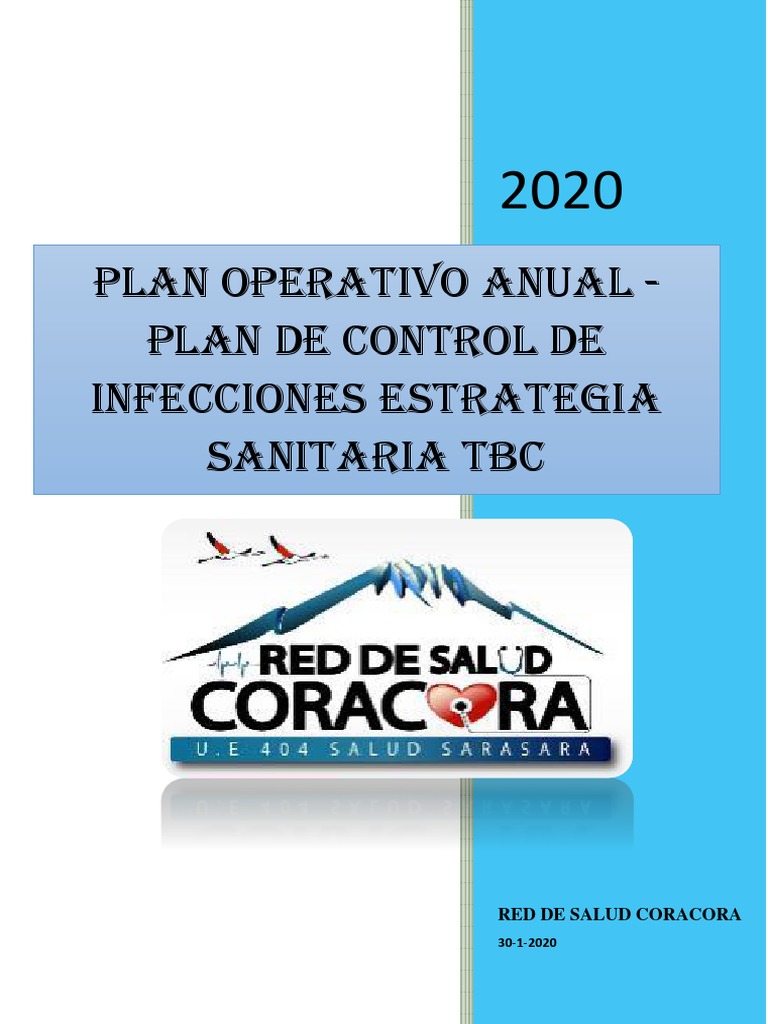 Plan ANUAL DE CONTROL DE INFECCIONES 20202 | PDF | Ciencia y matemáticas