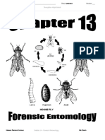 Chapter 13 - Insect Entomology Worksheets 2020