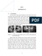 Isi Disertasi Rev 2 PDF