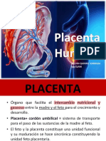 placenta-anto-160519072248