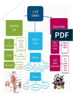 Aparato Fonador - Mapa Conceptual para Imprimir