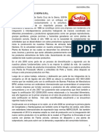 CASO_SOFIA_e.e._Autoguardado.docx